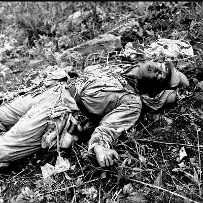 S8 Ep176: Martial Law in South Korea and the Shadow of the North: Colleagues Morse Tan and Gordon Chang discuss South Korea facing severe political turmoil following President Yoon's declaration of martial law, a move his supporters argue was a constitutional respo S8 Ep176: Martial Law in South Korea and the Shadow of the North: Colleagues Morse Tan and Gordon Chang discuss South Korea facing severe political turmoil following President Yoon's declaration of martial law, a move his supporters argue was a constitutional respo