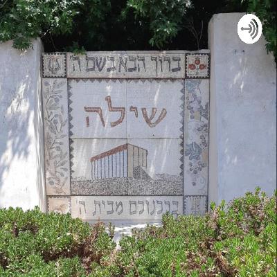 הרב ארלה הראל פרשת אמור