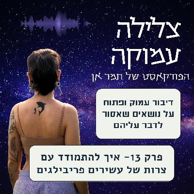 פרק 13- איך להתמודד עם צרות של עשירים