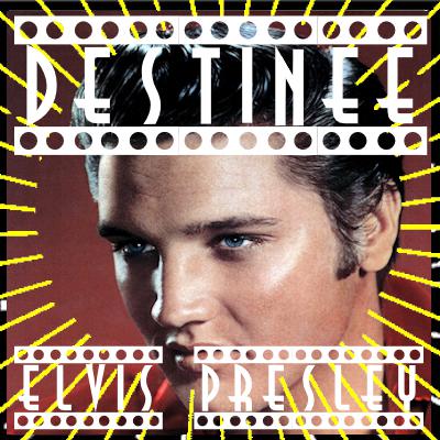 Destinée épi 8  Elvis Presley le petit gars de Tupelo devenu le King du Rock and Roll par Bruno Rostan