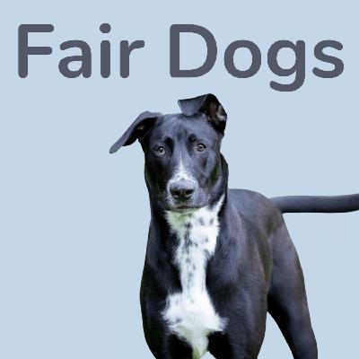 4. Dagmar Spillner über ihren Terrorwelpen 4. Dagmar Spillner über ihren Terrorwelpen