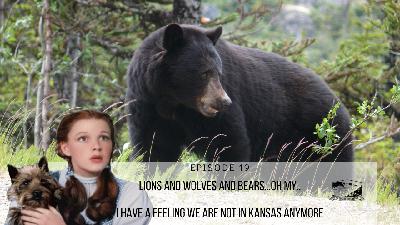 Episode 19: Lions, Wolves and Bears Oh My! - We’re Not In Kansas Anymore