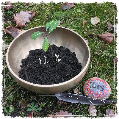 #63 REPLAY #34 Wie ein Samenkorn ... voller Vertrauen in der Dunkelheit warten