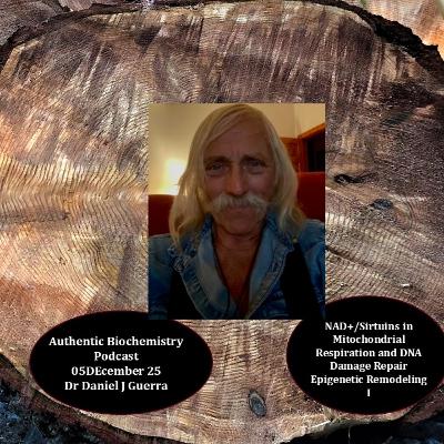 NAD+/Sirtuins in Mitochondrial Respiration and DNA Damage Repair Epigenetic Remodeling I Authentic Biochemistry Podcast Dr Daniel J Guerra.5Dec25 NAD+/Sirtuins in Mitochondrial Respiration and DNA Damage Repair Epigenetic Remodeling I Authentic Biochemistry Podcast Dr Daniel J Guerra.5Dec25