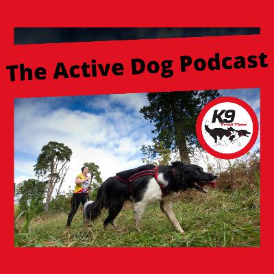 Episode 13: Making Mistakes