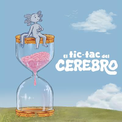 El tic-tac del cerebro