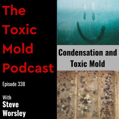 EP 338: Condensation and Toxic Mold