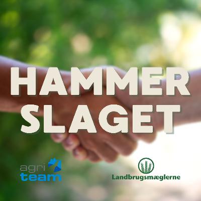 Hammerslaget 2026 - Februar: Høj aktivitet i markedet – og en benhård pris-battle! Hammerslaget 2026 - Februar: Høj aktivitet i markedet – og en benhård pris-battle!
