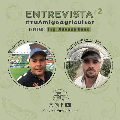 Entrevista #2 - Ing. Adonay Baez Entrevista #2 - Ing. Adonay Baez