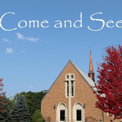 What do Lutherans for Life Do?