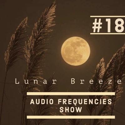 Audio Frequencies Show - Episode #18 [Mixed by Lunar Breeze]