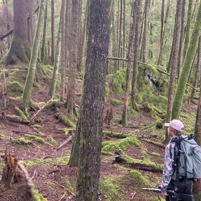 Episode 465 - The Roadless Rule
