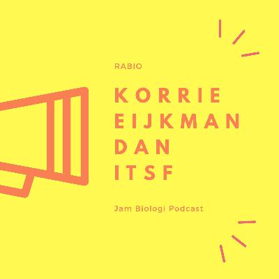 SOSOK | korrie, eijkman, dan itsf