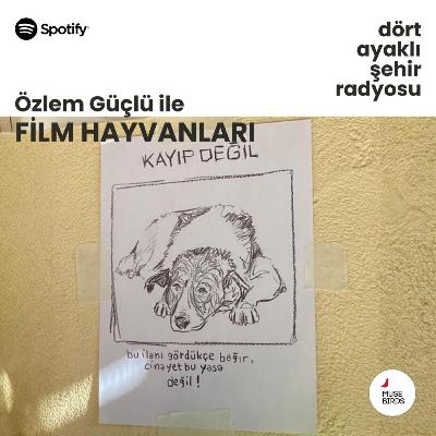 Film Hayvanları - Özlem Güçlü | Yeni Yıl Dileği Film Hayvanları - Özlem Güçlü | Yeni Yıl Dileği
