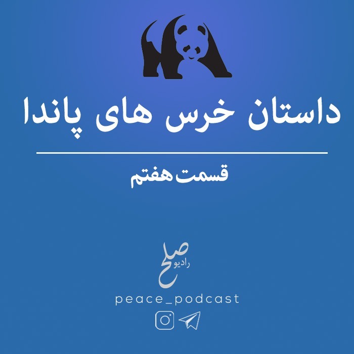 خرس های پاندا - اپیزود 7 - شب ششم