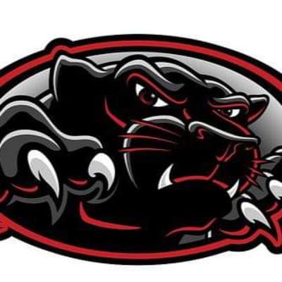 Pekin Baseball hire Coach Stevens