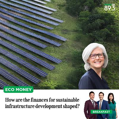 Eco Money: How are the finances for sustainable infrastructure development shaped?