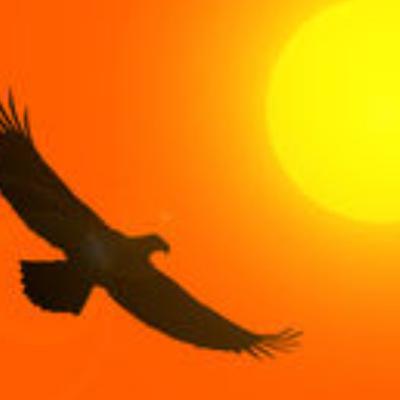 LA PARABOLA DEL AGUILA LA PARABOLA DEL AGUILA