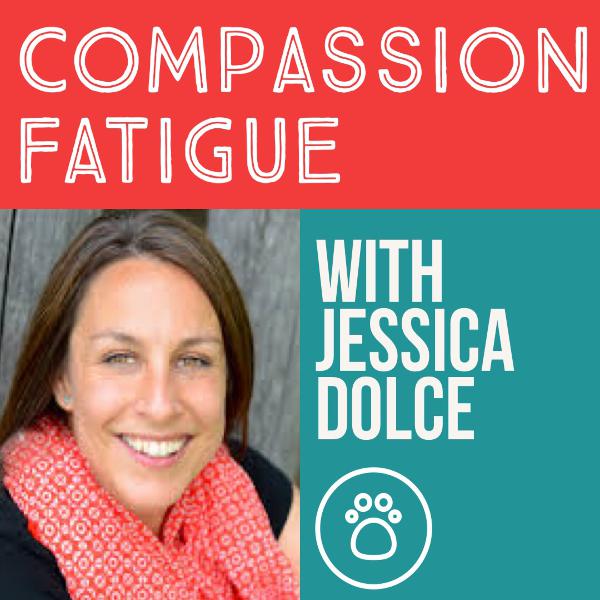 Compassion Fatigue Expert Jessica Dolce Compassion Fatigue Expert Jessica Dolce