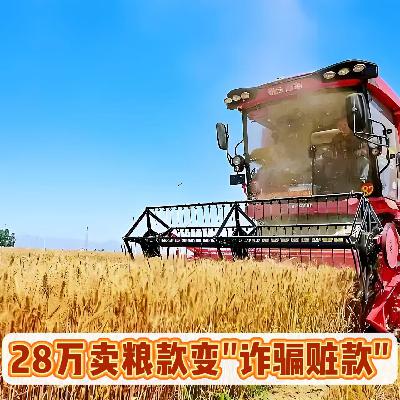 针对农民和商户的新型骗局！卖粮28万变“赃款”，账户冻结向谁诉？