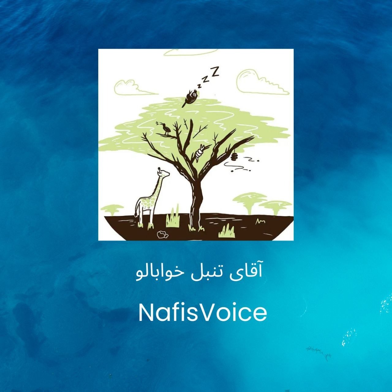 اقای تنبل خوابالو