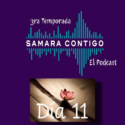 Diario de Resiliencia - Día 11
