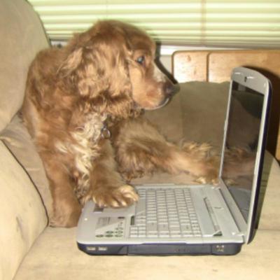 Webinar_ ¿Qué deben y qué no deben hacer las empresas en redes sociales