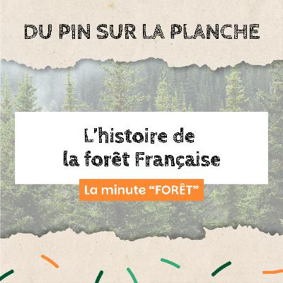 L’histoire de la forêt Française - Minute Forêt L’histoire de la forêt Française - Minute Forêt