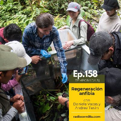 158: Regeneración anfibia, con Daniela Vacas y Andrea Terán