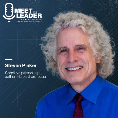 What you might get wrong about progress - lessons for leaders: Harvard psychologist Steven Pinker