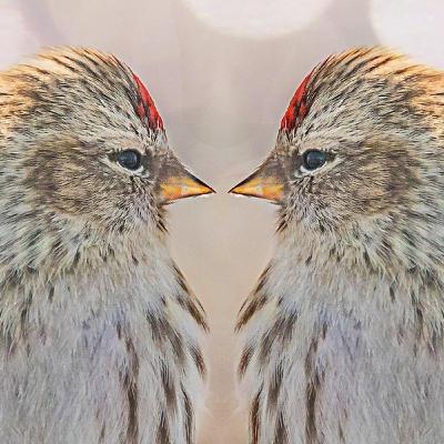 Episódio 156 cuspido e escarrado Episódio 156 cuspido e escarrado