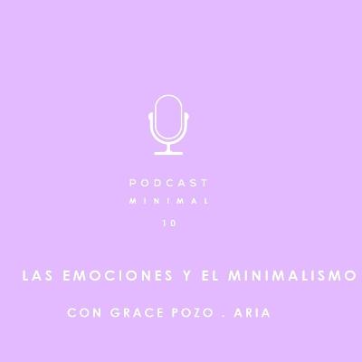 LAS EMOCIONES DEL MINIMALISMO