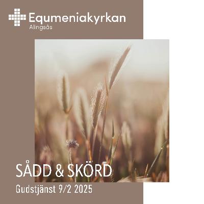 250209 - Sådd & Skörd - Peter Lindroos