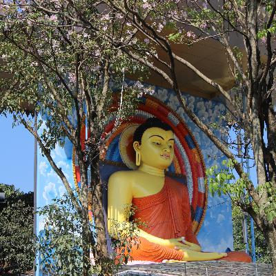 Buddhist Sutra on Passion and Dispassion…
