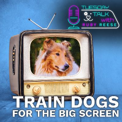 Train Dogs For The Big Screen
