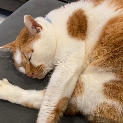 光/渡辺征也 from Radiotalk 光/渡辺征也 from Radiotalk