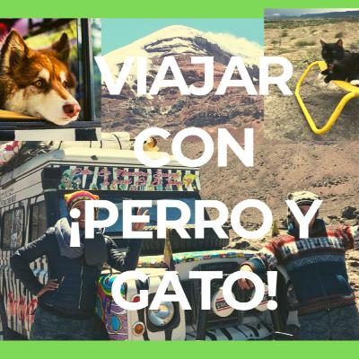 🐕🌎🐱 ¡VIAJAR con MASCOTAS! -Hachiry por el mundo-
