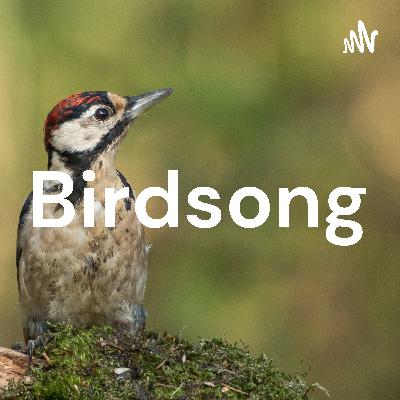 Birdsong post lockdown