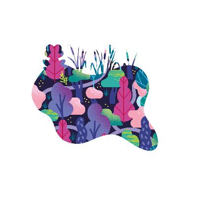 Les milieux humides Les milieux humides