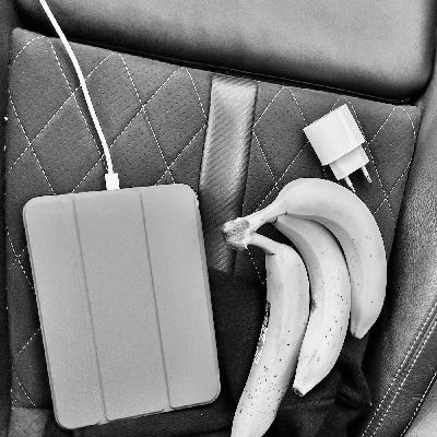 2842 / Weihnachtsbananen 2842 / Weihnachtsbananen