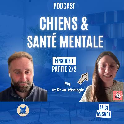 Alice Mignot - Santé Mentale & Chiens (Partie 2) : Culpabilité, Isolement et Affirmation de soi Alice Mignot - Santé Mentale & Chiens (Partie 2) : Culpabilité, Isolement et Affirmation de soi