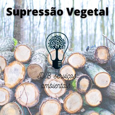 Supressão Vegetal.