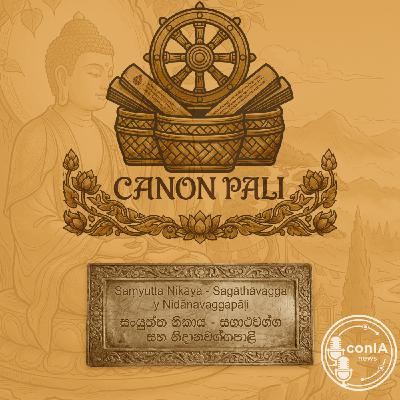Canon Pali 12/40 |Sutta Piṭaka|Saṃyutta Nikāya|Sagāthāvagga y Nidānavaggapāḷi Canon Pali 12/40 |Sutta Piṭaka|Saṃyutta Nikāya|Sagāthāvagga y Nidānavaggapāḷi