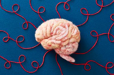 El racó de no pensar amb Santi G. i J.A. Ponseti: les edats del cervell i la gordofòbia El racó de no pensar amb Santi G. i J.A. Ponseti: les edats del cervell i la gordofòbia