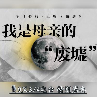 特别嘉宾丨今生我们还有缘一起看多少次月亮·止庵·惜别
