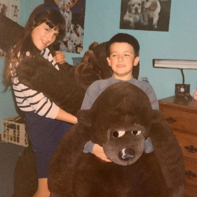 11. Gorillas
