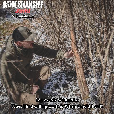 Big Woods Whitetails | Does Blind calling work and When should I call? W. Steve Sherk Jr.