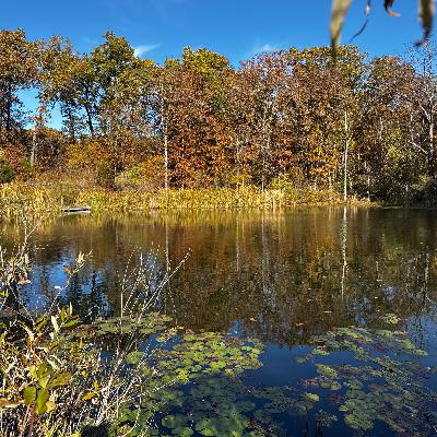 There is a Better Way to Own Land: Announcing Wealth Strategy Services There is a Better Way to Own Land: Announcing Wealth Strategy Services