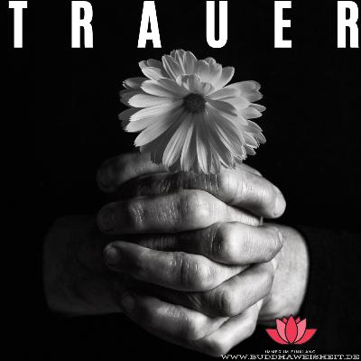 Trauer bewältigen & verarbeiten – Eva Terhorst über Heilung nach Verlust #46