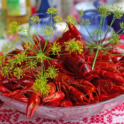 Step into the World of Scandinavia’s Beloved Crayfish Feast!